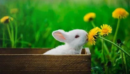 皇冠体育app下载-“四冠王”胡凯：越冷静，越“幸运”